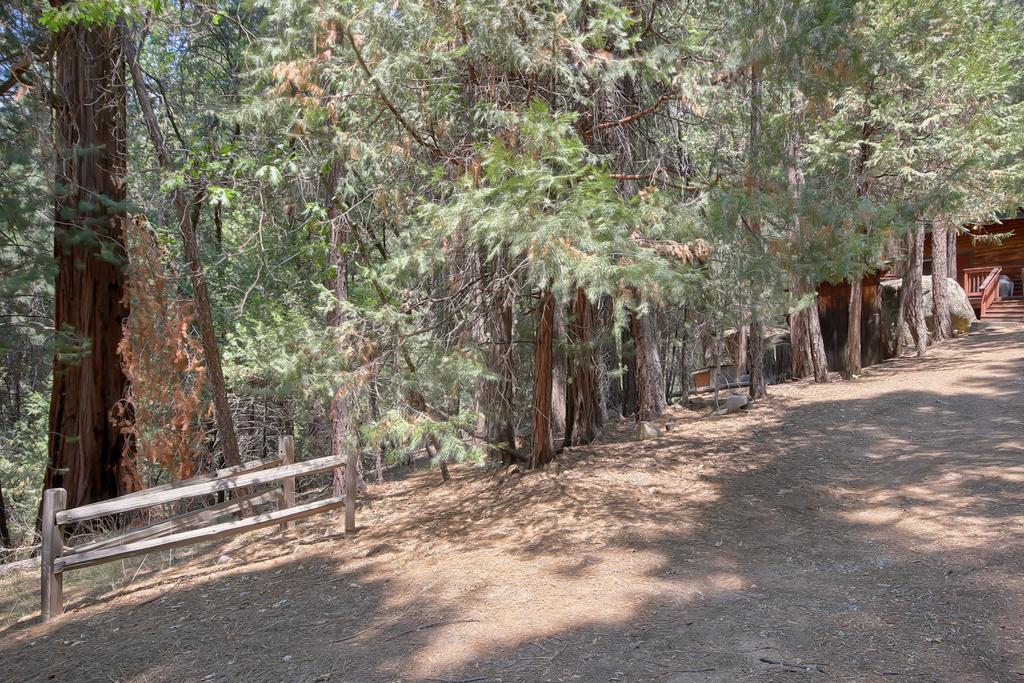 1L The Tree House Villa North Wawona Exterior photo