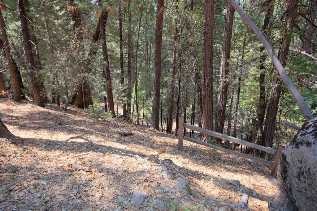 1L The Tree House Villa North Wawona Exterior photo